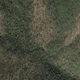 Satellite imagery of Forked Ridge, US