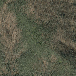 Satellite imagery of Forked Ridge, US