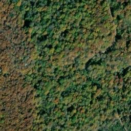 Satellite imagery of Pauls Point, US