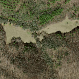 Satellite imagery of Cheoah Mountains, US