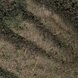 Satellite imagery of Hayes Ridge, US