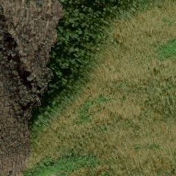 Satellite imagery of Hayes Ridge, US