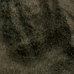 Satellite imagery of Spruce Ridge, US