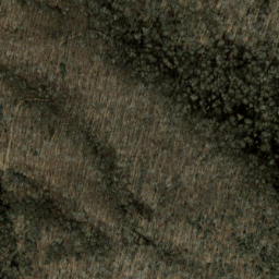 Satellite imagery of Spruce Ridge, US
