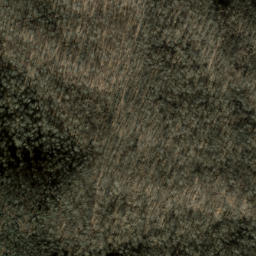 Satellite imagery of Spruce Ridge, US