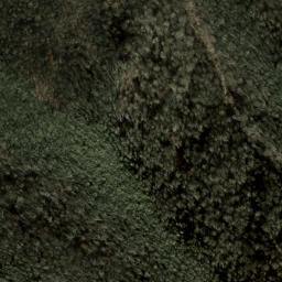 Satellite imagery of The Narrows, US