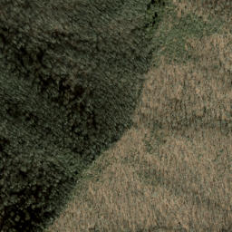 Satellite imagery of The Narrows, US