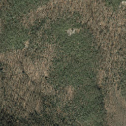 Satellite imagery of Pilot Rock, US