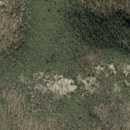 Satellite imagery of Pilot Rock, US