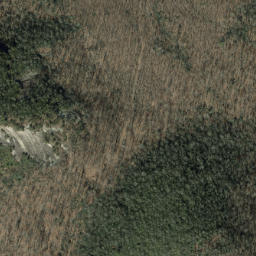 Satellite imagery of Pilot Rock, US