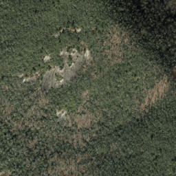 Satellite imagery of Forked Ridge, US