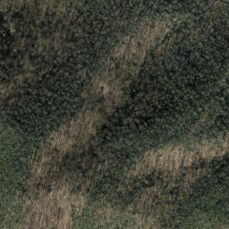Satellite imagery of Forked Ridge, US