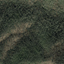 Satellite imagery of Forked Ridge, US