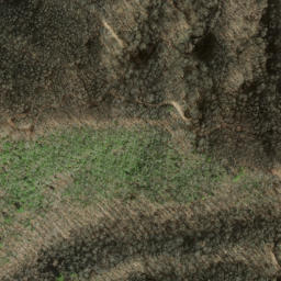 Satellite imagery of Old Roughy, US