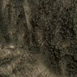 Satellite imagery of Old Roughy, US