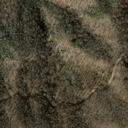 Satellite imagery of Old Roughy, US