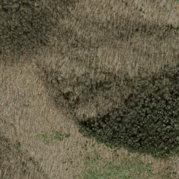 Satellite imagery of Hogback, US