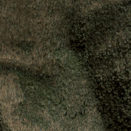Satellite imagery of Spruce Ridge, US