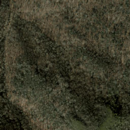 Satellite imagery of Spruce Ridge, US