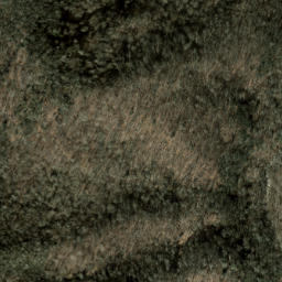 Satellite imagery of Spruce Ridge, US