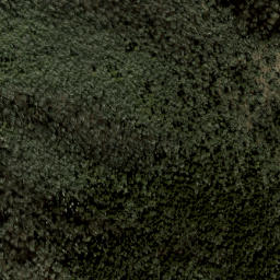 Satellite imagery of The Narrows, US