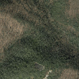 Satellite imagery of Pilot Rock, US