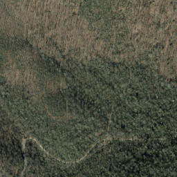 Satellite imagery of Pilot Rock, US
