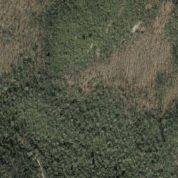 Satellite imagery of Pilot Rock, US
