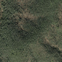 Satellite imagery of Forked Ridge, US