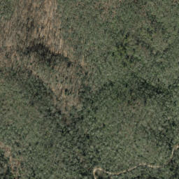 Satellite imagery of Forked Ridge, US