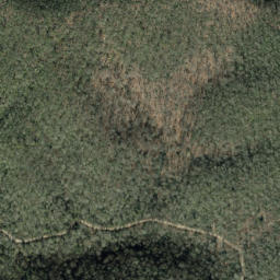 Satellite imagery of Forked Ridge, US