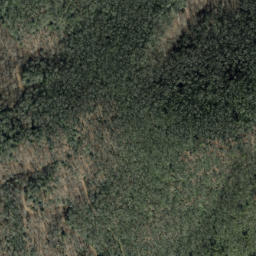 Satellite imagery of Mining Ridge, US