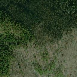 Satellite imagery of Yarnell Point, US