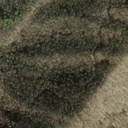 Satellite imagery of Old Roughy, US
