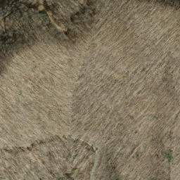 Satellite imagery of Old Roughy, US
