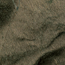 Satellite imagery of Chestnut Ridge, US