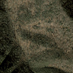 Satellite imagery of Spruce Ridge, US
