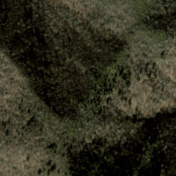 Satellite imagery of Spruce Ridge, US