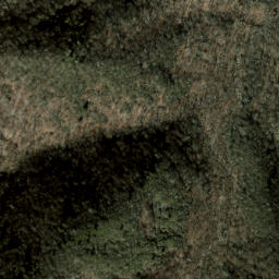 Satellite imagery of Spruce Ridge, US