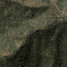 Satellite imagery of Roland Ridge, US