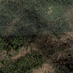Satellite imagery of Dividing Ridge, US