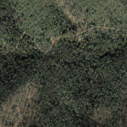 Satellite imagery of Shooting Ridge, US