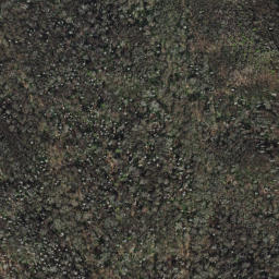 Satellite imagery of Brush Mountain, US