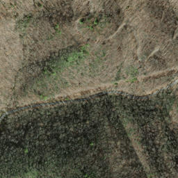 Satellite imagery of Old Roughy, US