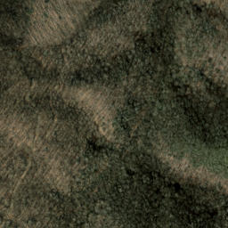 Satellite imagery of Chestnut Ridge, US