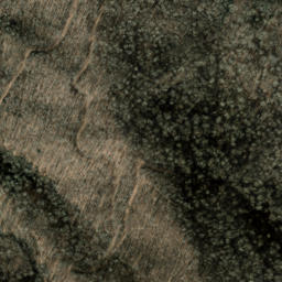 Satellite imagery of Snaggy Bald Ridge, US