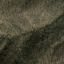 Satellite imagery of Cathey Ridge, US