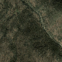 Satellite imagery of Cathey Ridge, US