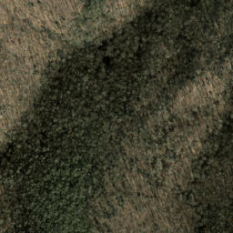 Satellite imagery of Roland Ridge, US