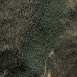 Satellite imagery of Shooting Ridge, US